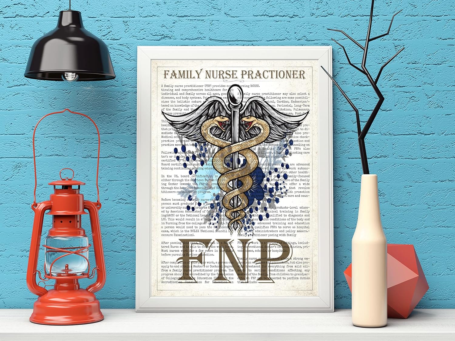 Family Nurse Practitioner Gift, FNP Gift, Nurse Present, Nursing School Graduation Gift Idea, Medical School, FNP Office Decor, Wall Art