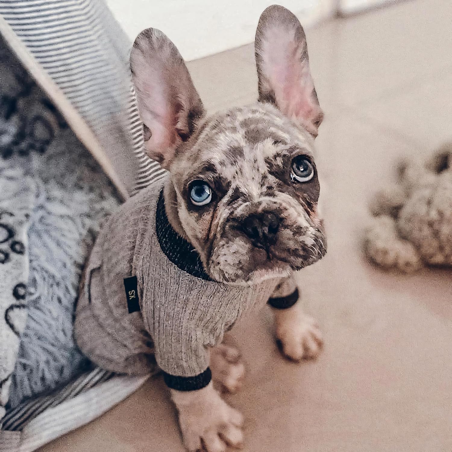 Fitwarm Ropa ligera de punto para mascotas, pijama para perro, pijama gris, L, gris