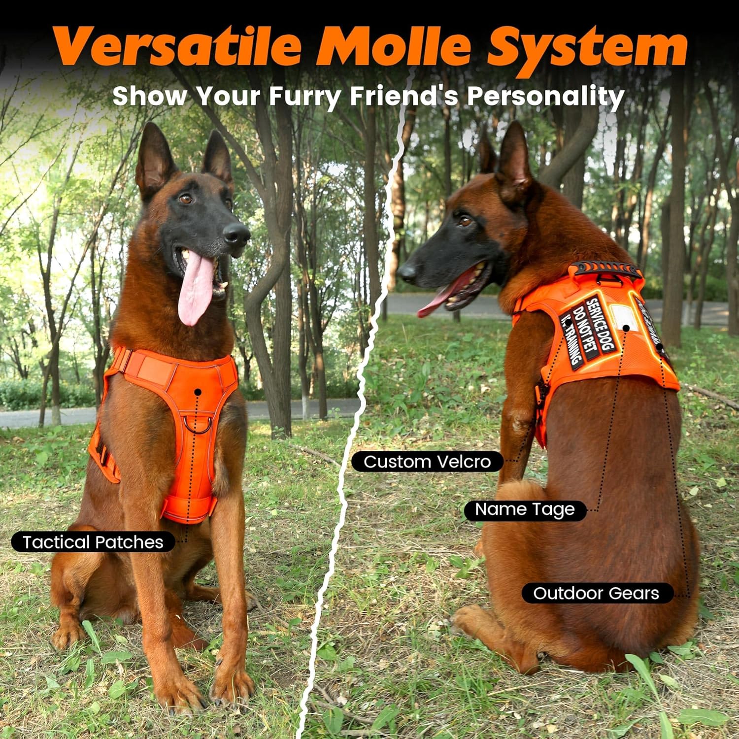 Arnés táctico para perro, 2 correas ligeras con hebilla de metal resistente para perros medianos y extragrandes con 6 parches para perros, arnés