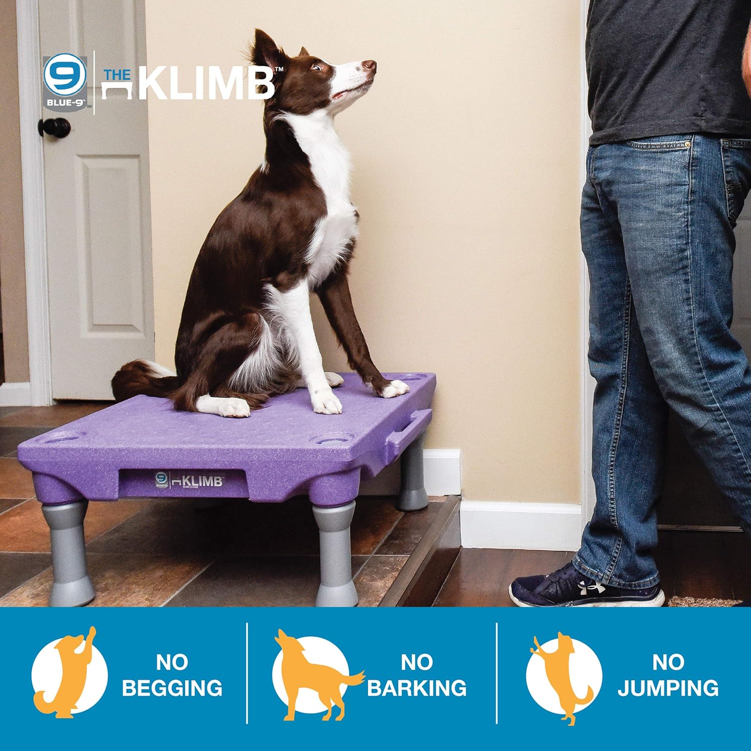 Blue-9 Pet Products KLIMB – Plataforma de entrenamiento para perros y sistema de agilidad, duradero y portátil para uso en interiores o exteriores,