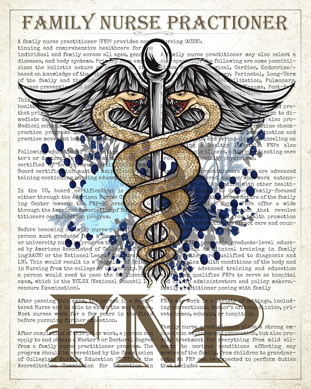 Family Nurse Practitioner Gift, FNP Gift, Nurse Present, Nursing School Graduation Gift Idea, Medical School, FNP Office Decor, Wall Art