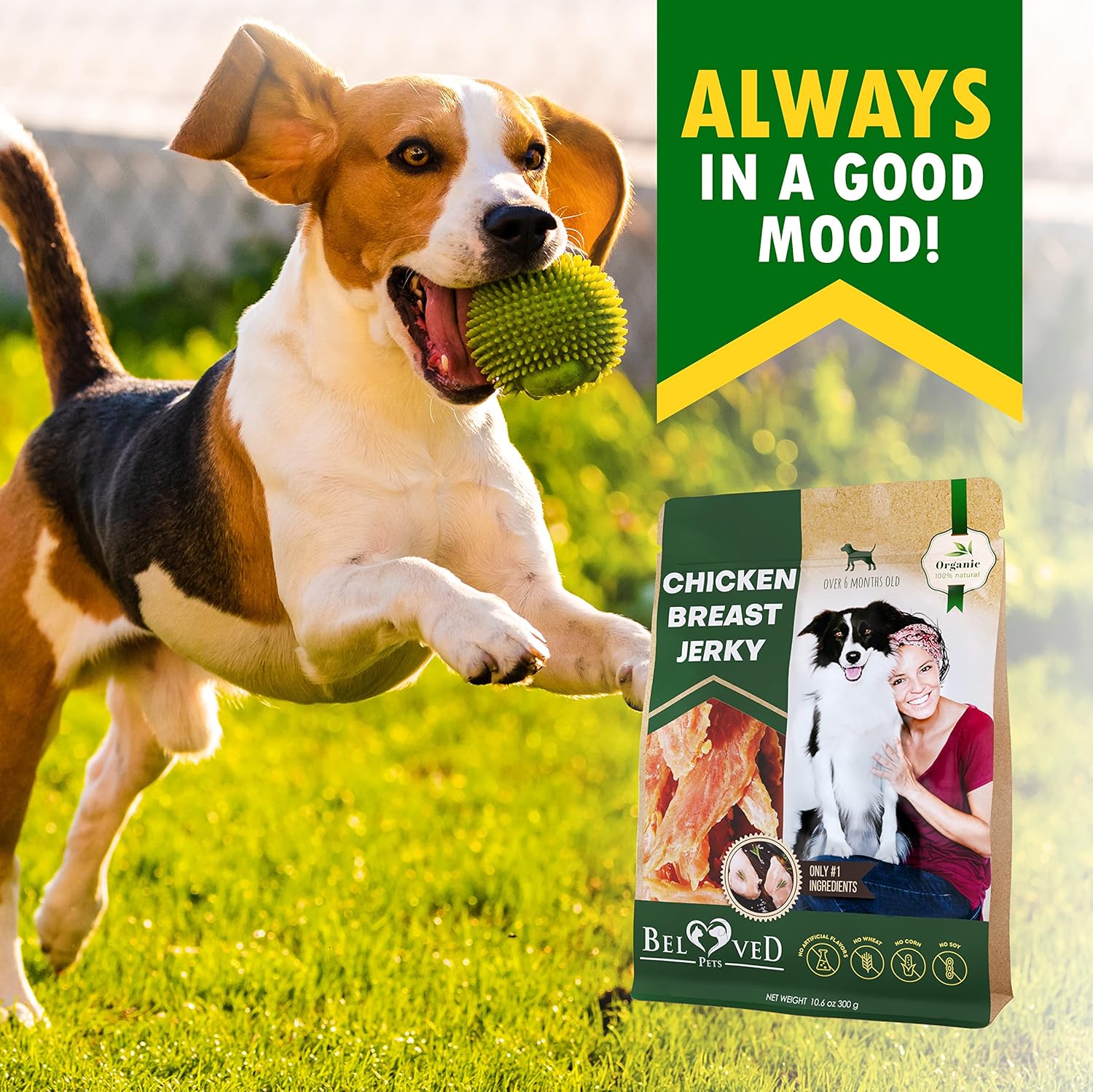 Beloved Pets Golosinas de pollo para perros de 11 onzas, bocadillos saludables naturales y orgánicos para perros grandes y pequeños, sin granos y