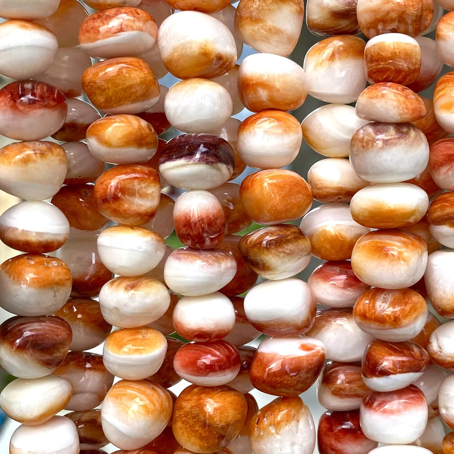 ABCgems – Cuentas de concha de ostra espinosa color naranja y blanco del mar caribeño, fabricación de joyas naturales y orgánicas, ideal para