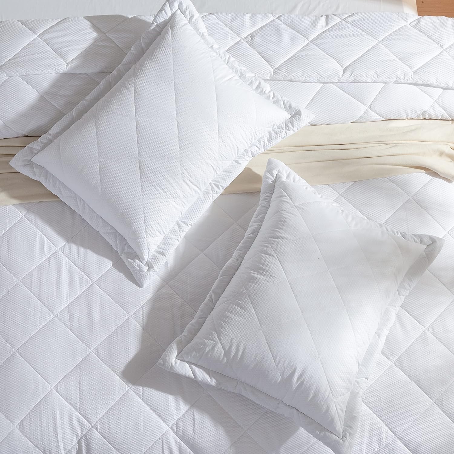 Dorrin Nessin Juego de edredón ligero, 1 manta refrescante de verano con 2 almohadas de cama, ultra suave, 3 piezas reversibles, color blanco,