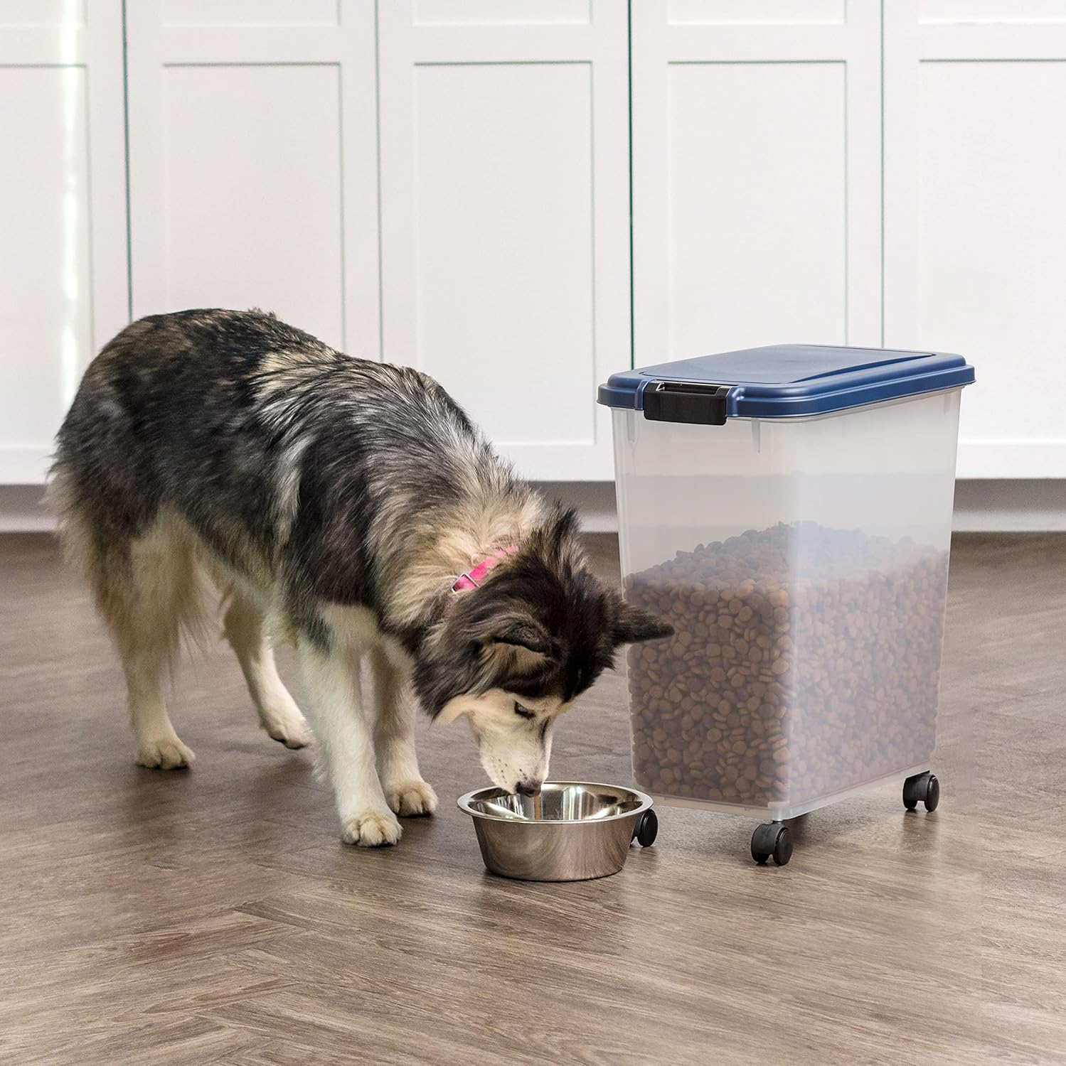 IRIS USA – Recipiente hermético de 30 libras42.7 cuartos de galón. IRIS USA WeatherPro – Contenedor hermético para alimentos para mascotas, con