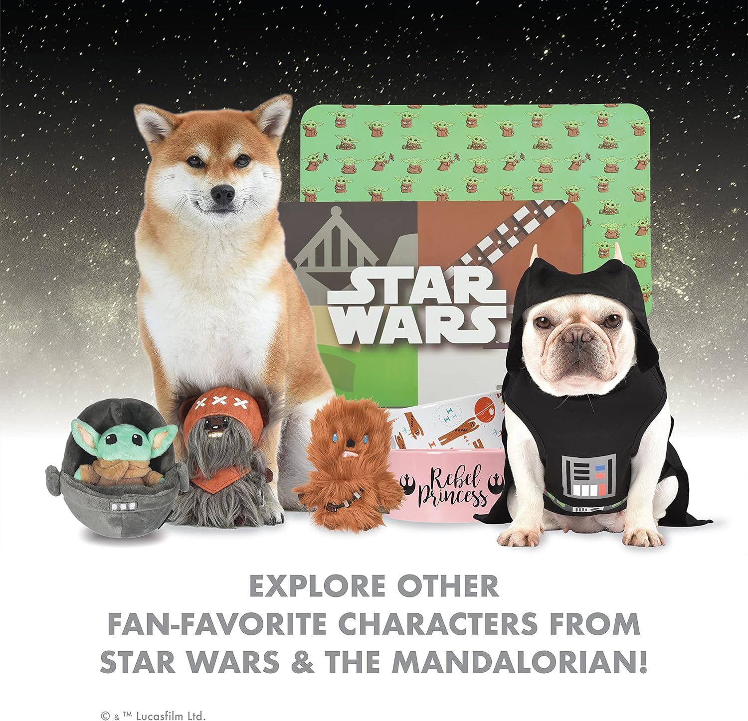 Star Wars for Pets The Mandalorian The Child – Correa para perro de 6 pies  Correa de perro de 6 pies se fija fácilmente a cualquier collar o arnés