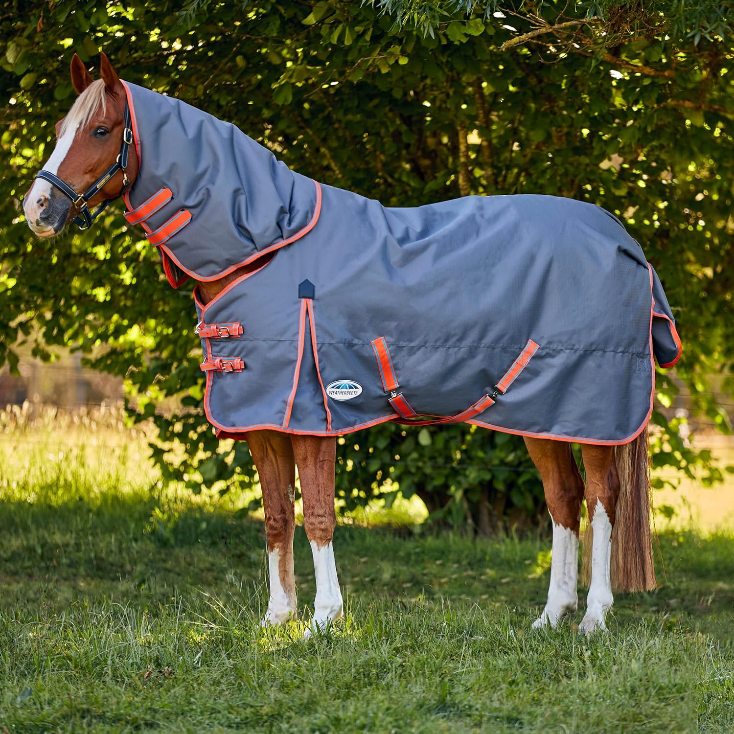 WeatherBeeta ComFiTec Essential Plus Detach-A-Neck – Manta mediana para caballo, grisnaranjaazul, 48 pulgadas