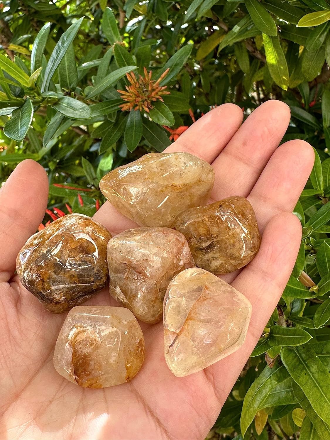 GAF TREASURES Piedras pulidas de cuarzo curandero dorado de 12 libra, piedra preciosa de cuarzo curandero dorado natural pulida, cristales curativos