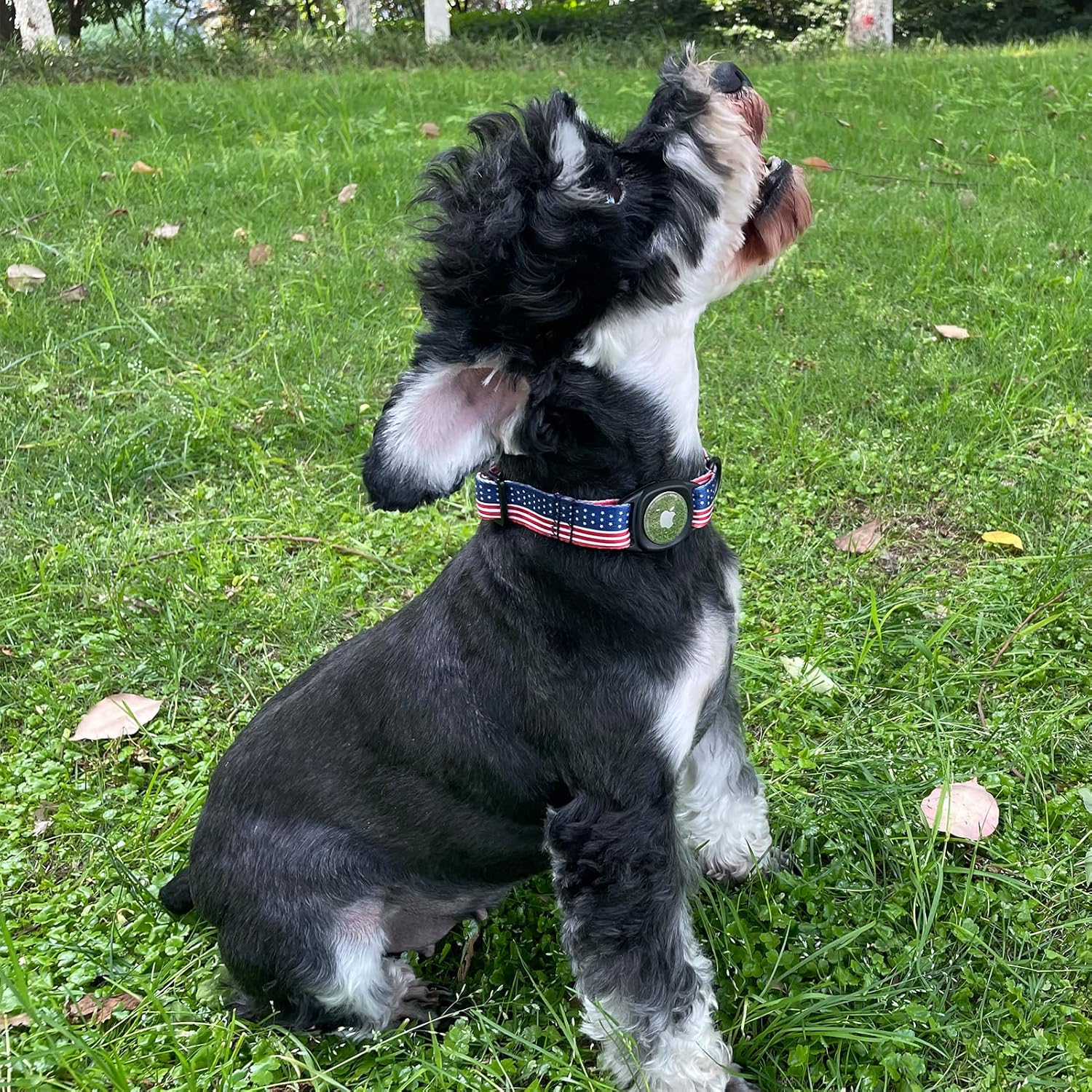 MR.CHUBBYFACE Airtag – Collar de perro para el 4 de julio con soporte para Airtag de Apple para perros pequeños, medianos y grandes