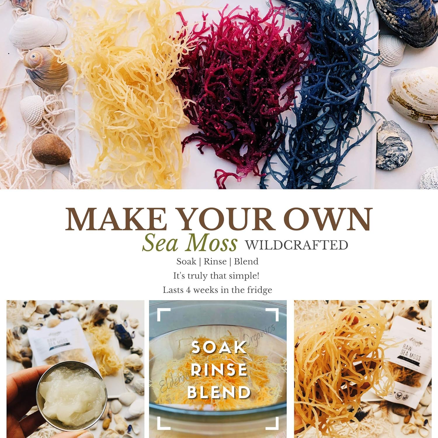 Sea Moss  Aqua Marine  Hace 24 onzas de gel  Artesanal silvestre  Raro  Crudo + sin OMG  Secado al sol  Verde (Aqua Marine)