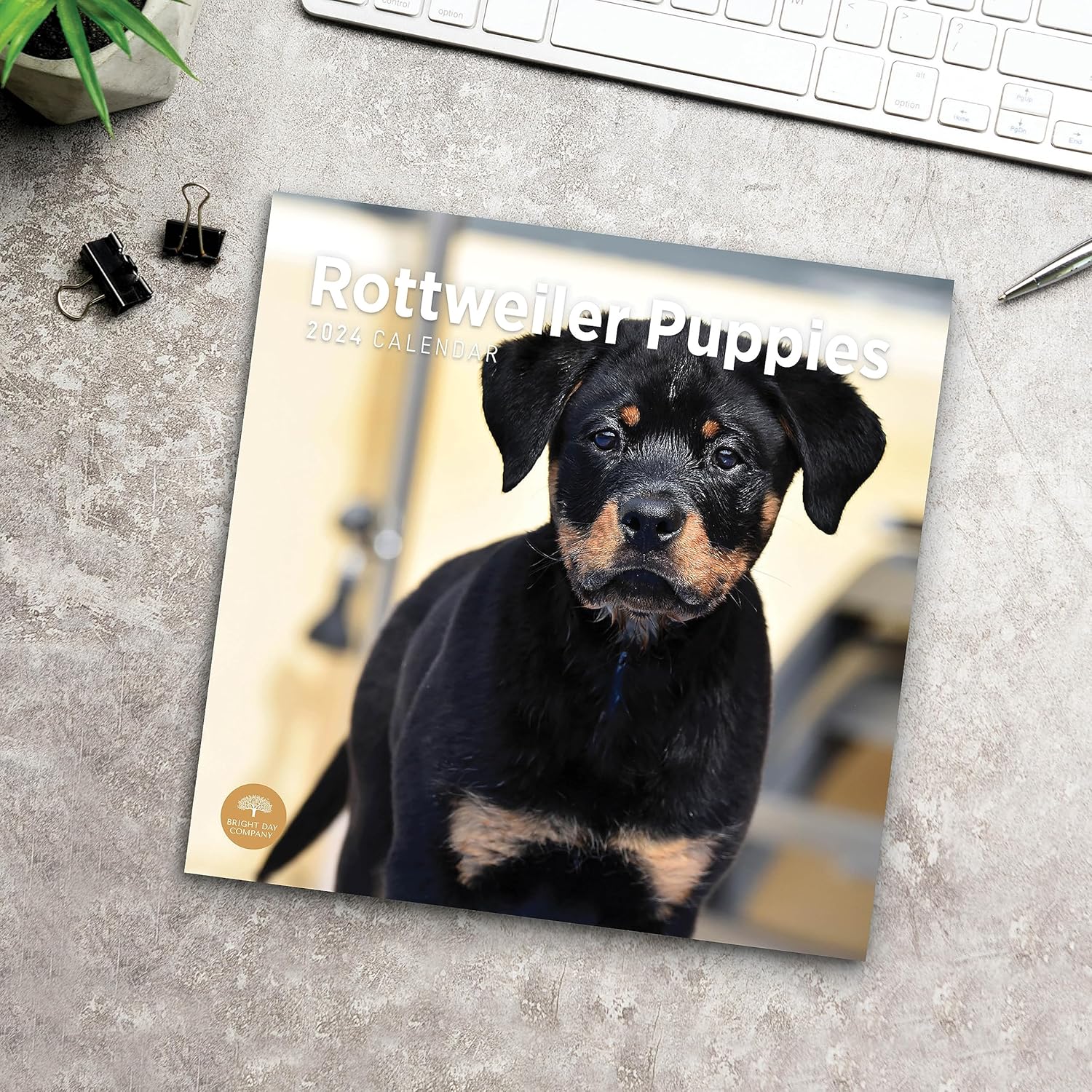 Bright Day – Calendario mensual de pared de cachorros Rottweiler 2024, 12 x 12 pulgadas
