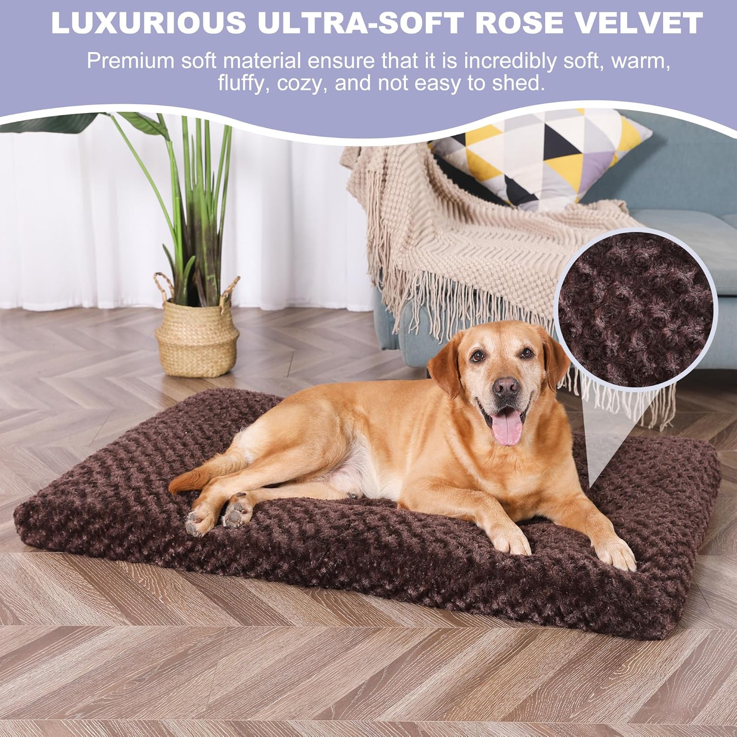 Cama de felpa para perros, cama lavable para perros XL, almohadilla mullida y cómoda con parte inferior antideslizante para un sueño cómodo, 41 x 27