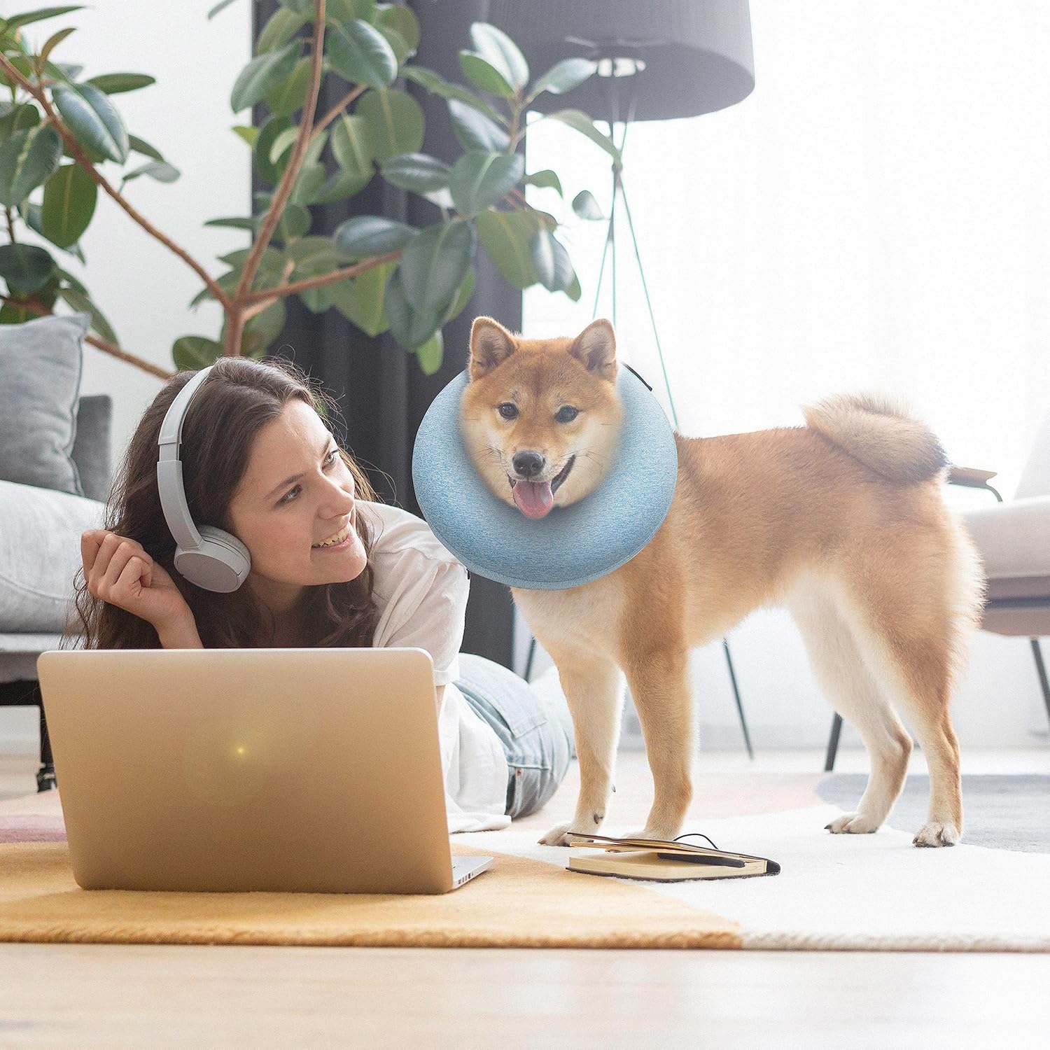 Big Ant Collar inflable protector para perros y gatos, cono suave para perros después de la cirugía, collar de dona para cuello de perro, collar de