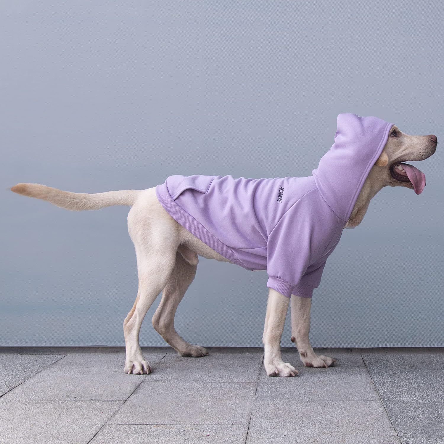ARUNNERS Ropa extra grande para perros con capucha y cremallera para perros grandes, Labrador Border Collie, morado, 4XL