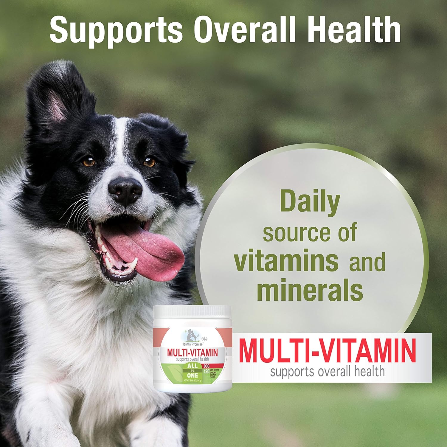 Four Paws Healthy Promise Dog Multivitamínico Masticable Suave 120 unidades