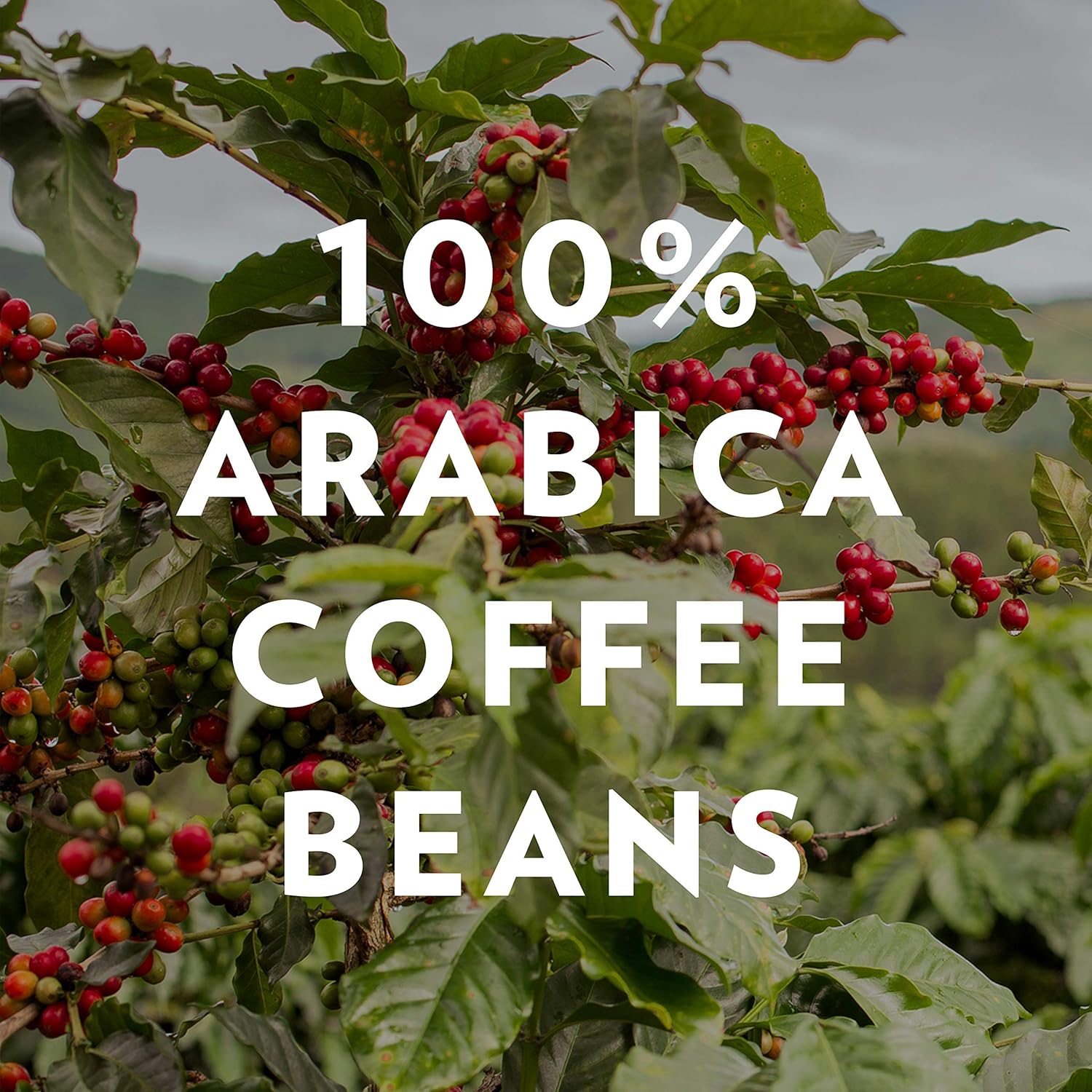 Community Coffee – Paquete variado de 36 cápsulas de café, tostado oscuro, compatible con cafeteras Keurig 2.0 K-Cup (12 unidades, paquete de 3)