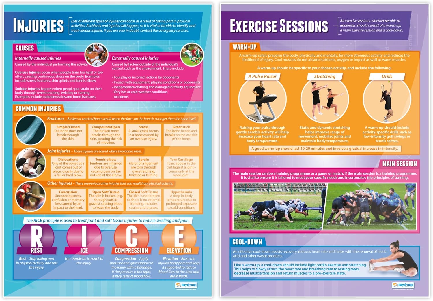 Carteles de entrenamiento físico, juego de 7, pósteres de polietileno, papel brillante que mide 33 x 23.5 pulgadas, gráficos de educación física
