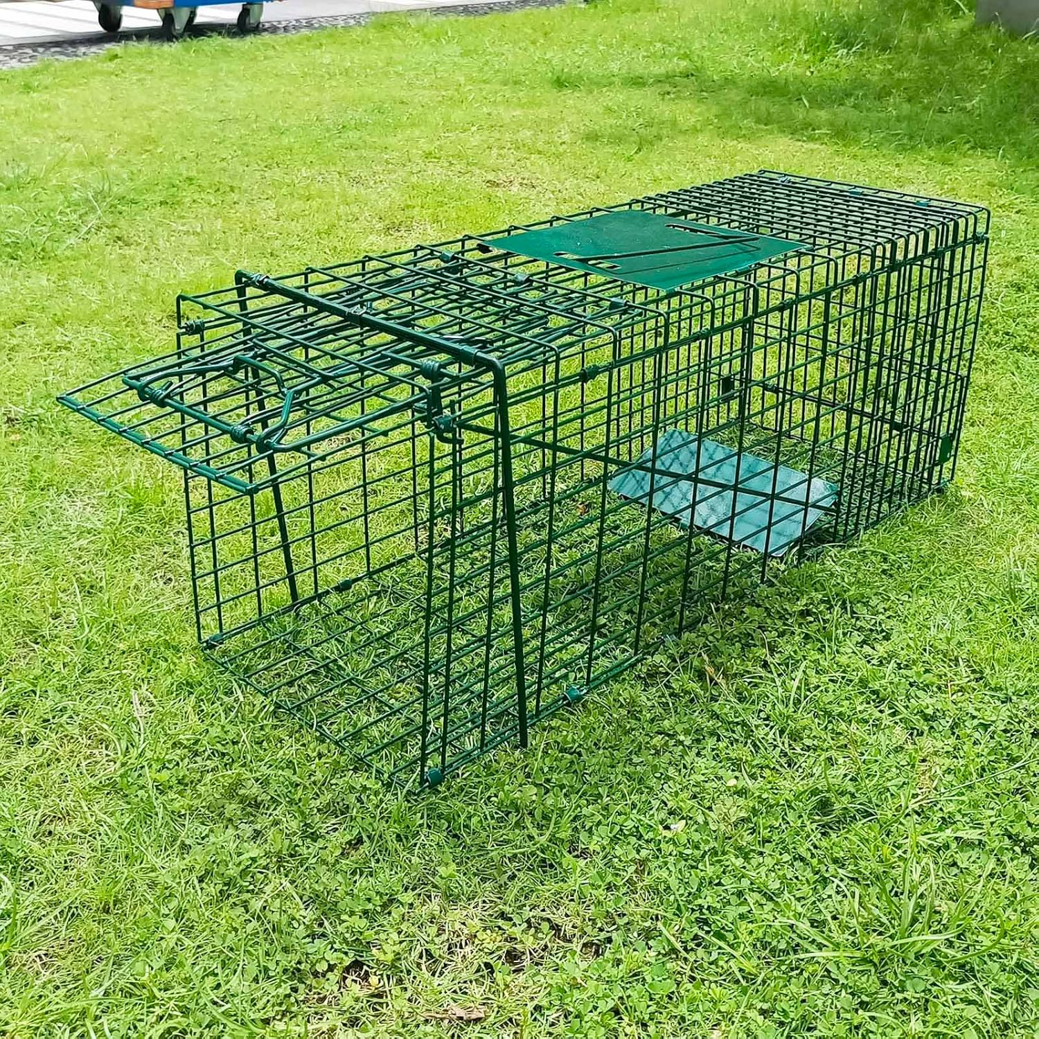 Trampa plegable para animales vivos, kit de trampa para animales vivos sin matar, para conejos de liberación de capturas, gatos callejeros,