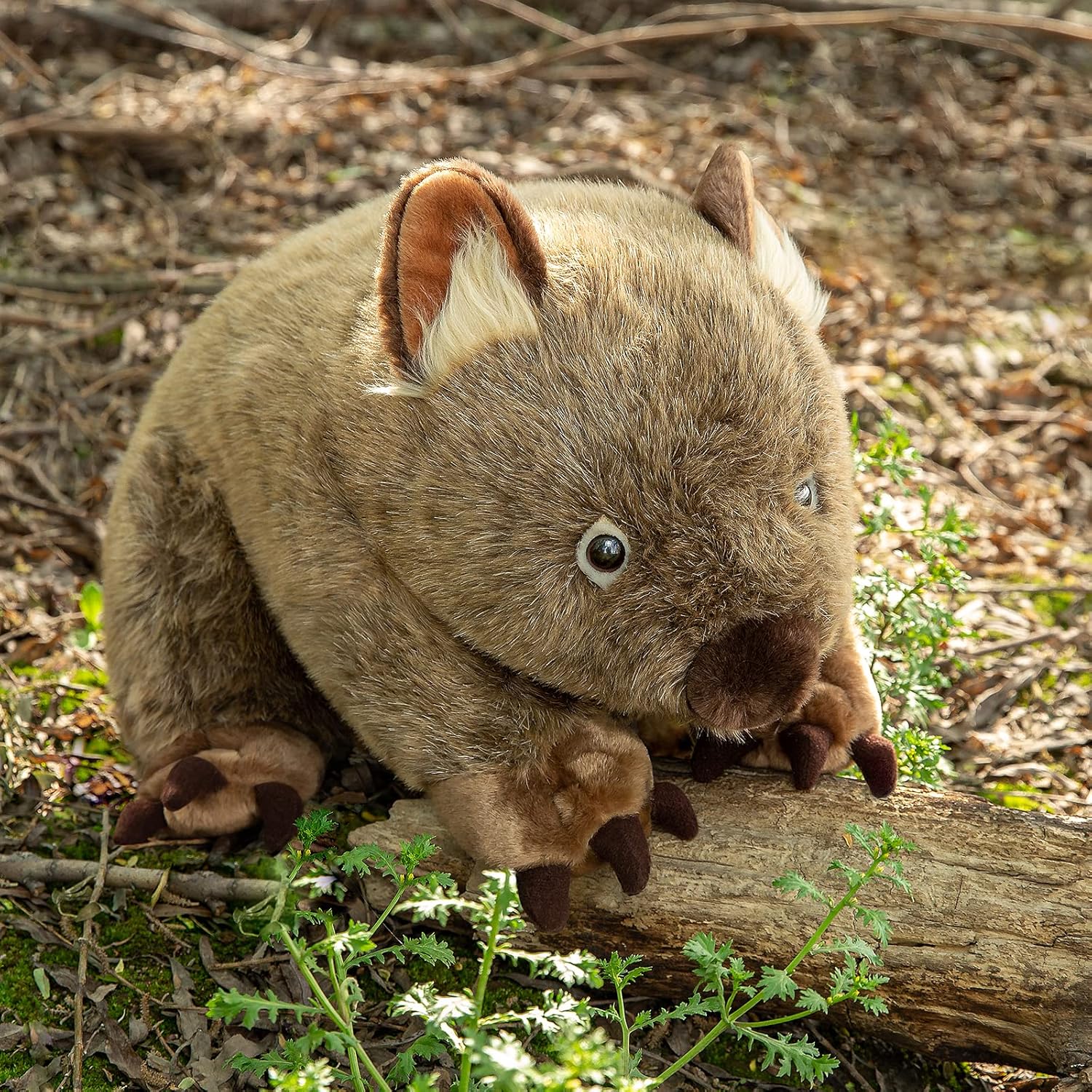 Wombat – Peluche grande de 17 pulgadas, animales salvajes suaves que gatean Wombat, juguetes de peluche únicos, colección de muñecas modelo para