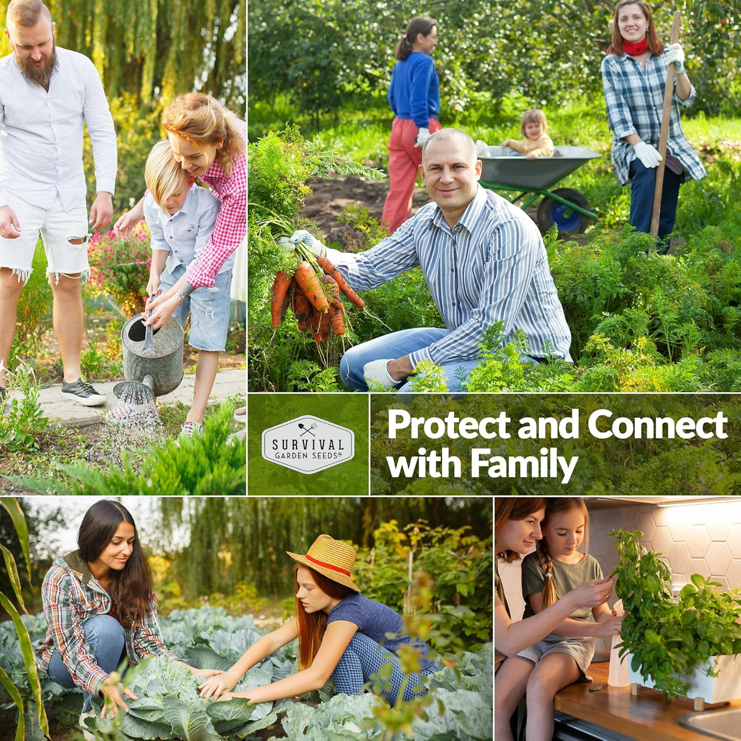 Survival Garden Seeds – Semilla de colinabo blanco de Viena para plantar – 3 paquetes con instrucciones para plantar y cultivar vegetales crucíferos