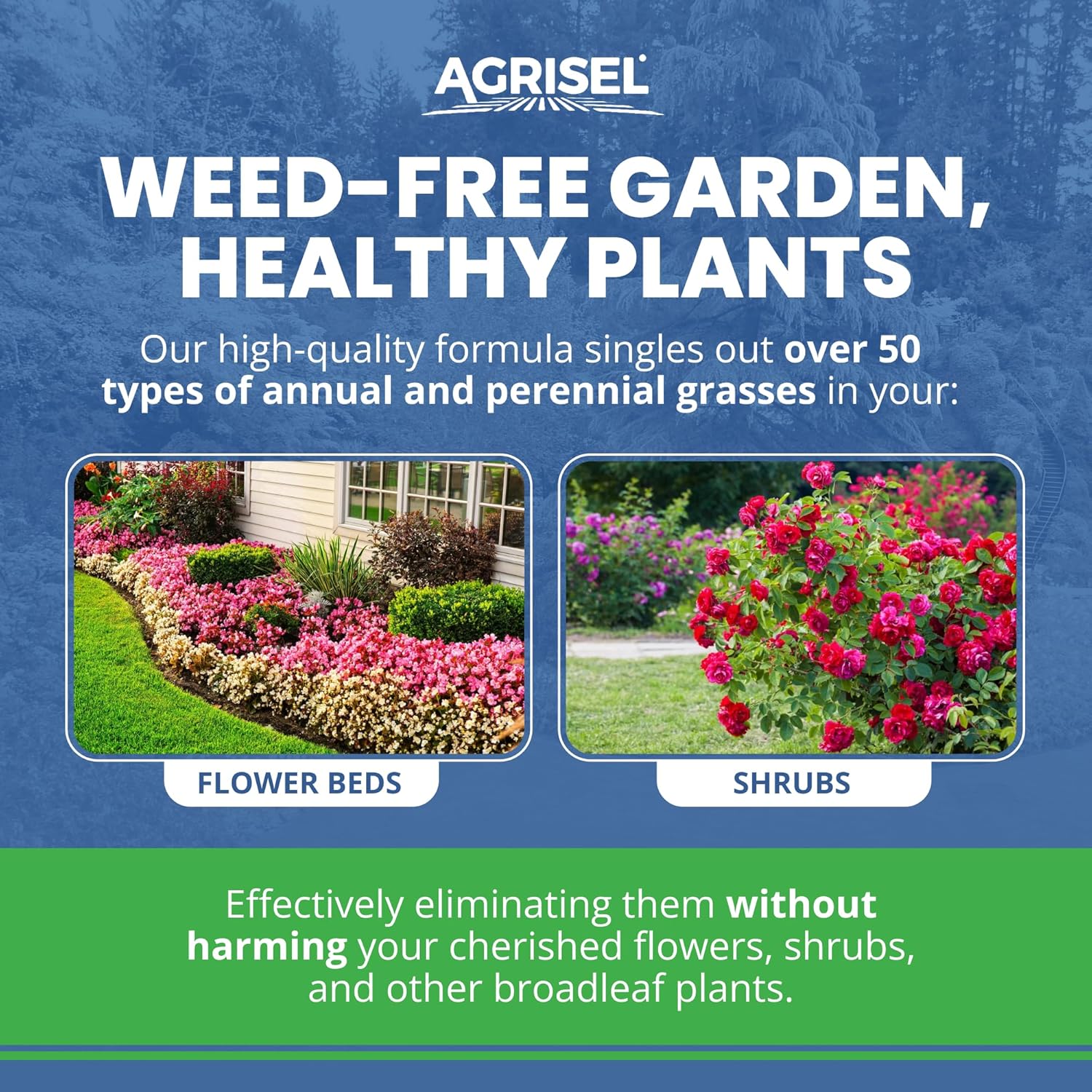Agrisel GrassOut Max – Herbicida para más de 50 malezas herbáceas sin dañar las plantas deseadas, seguro para mascotas, tratamiento de área grande,