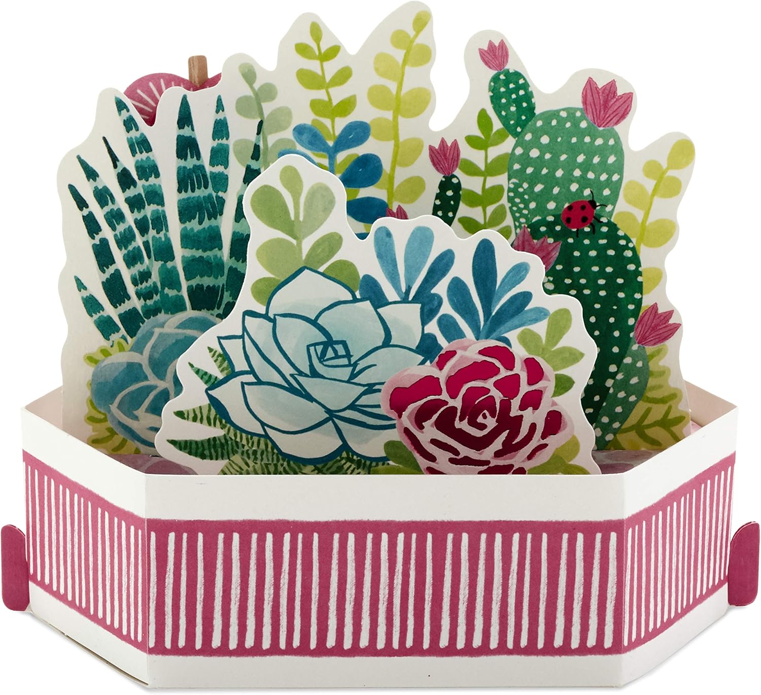 Hallmark Tarjeta de cumpleaños desplegable para mamá (suculentas y flores que se pueden exhibir) (paquete de 2)