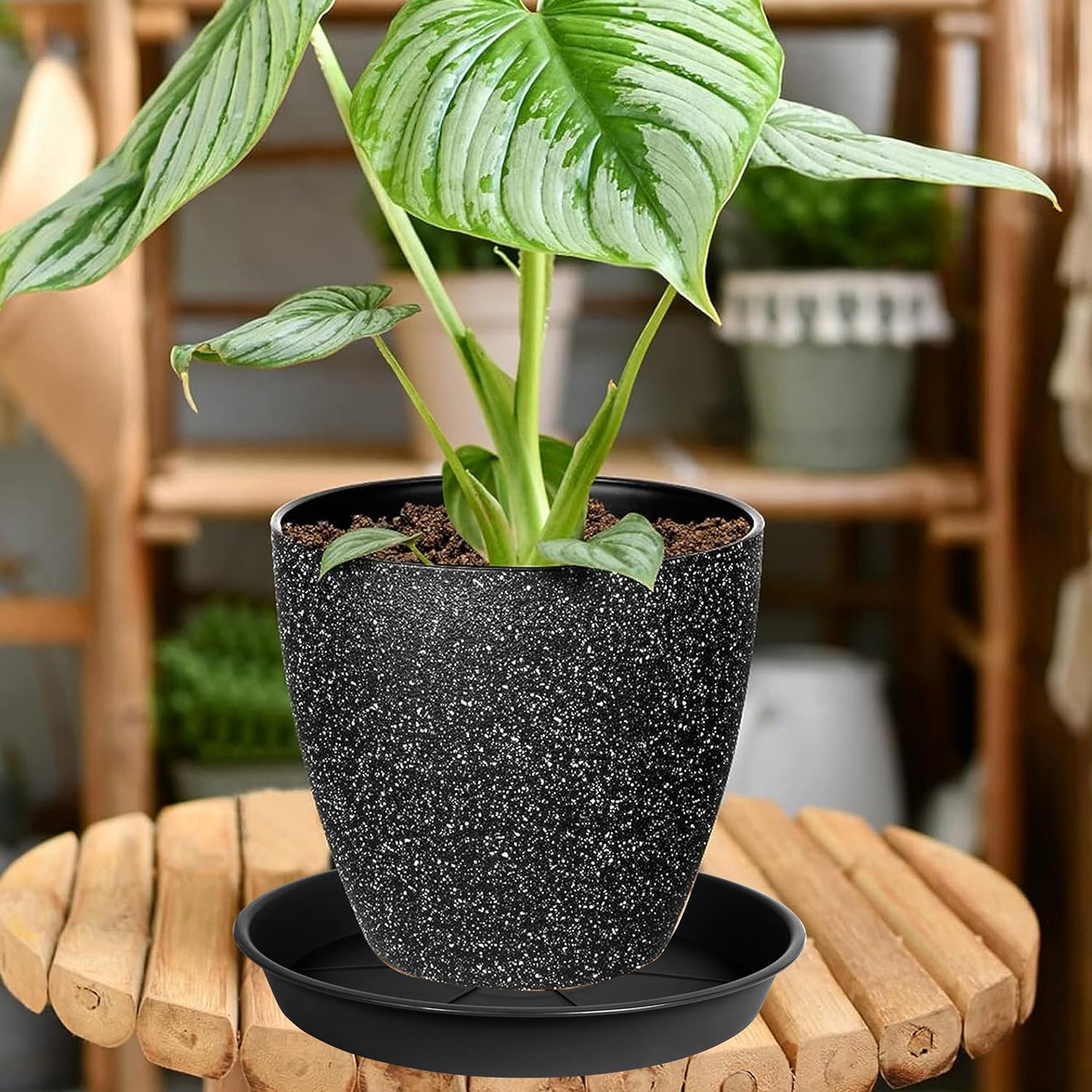 OVZILKI Paquete de 6 bandejas de platillos para plantas de 9 a 10 pulgadas, bandejas de goteo de plástico resistente para interiores y exteriores,