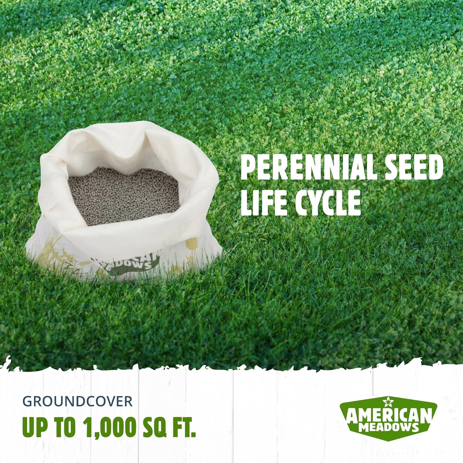 American Meadows Mezcla de semillas de césped de micro trébol alternativa de césped especialmente mezclada, bajo mantenimiento, gran cubierta de