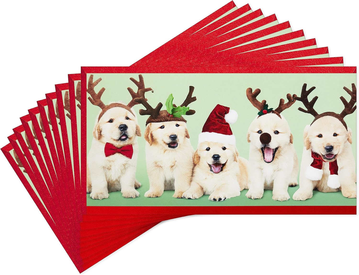 Hallmark Portatarjetas de regalo o dinero de Navidad (10 tarjetas con sobres) Golden Retriever Puppies