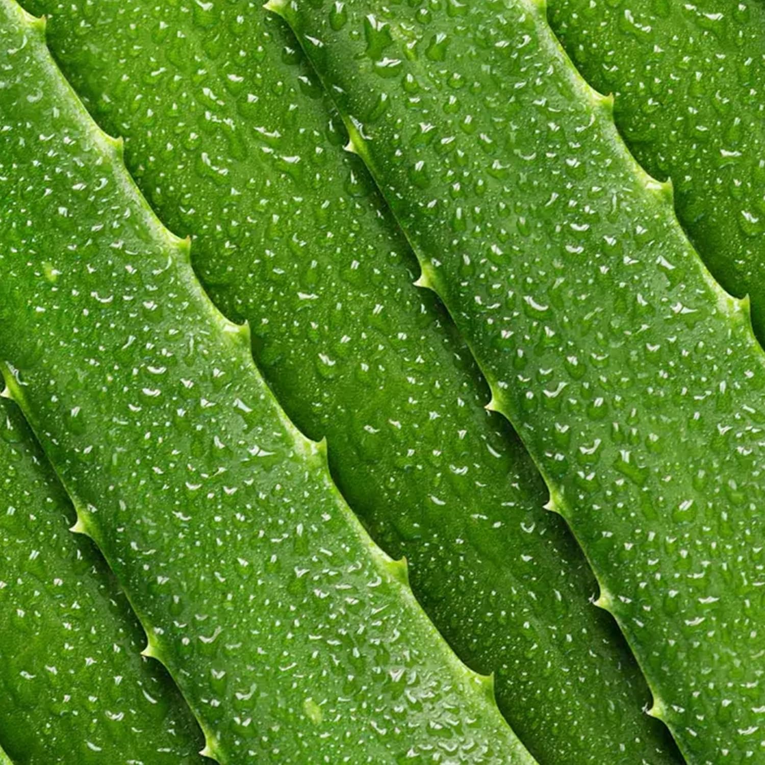 Mario Badescu Tónico de loción limpiadora de queratoplasto, calmante y rejuvenecedor para el cuidado de la piel con aloe vera