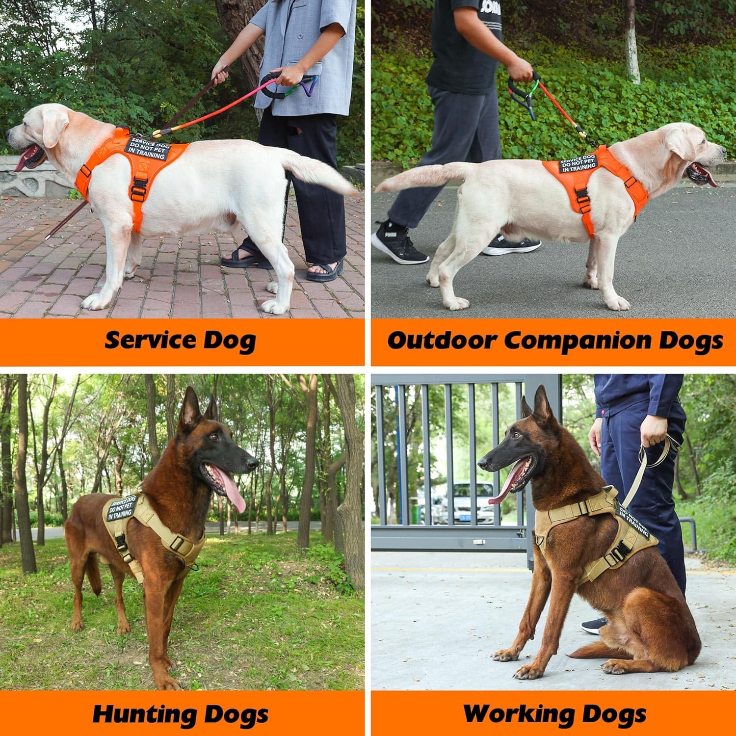 Arnés táctico para perro, 2 correas ligeras con hebilla de metal resistente para perros medianos y extragrandes con 6 parches para perros, arnés