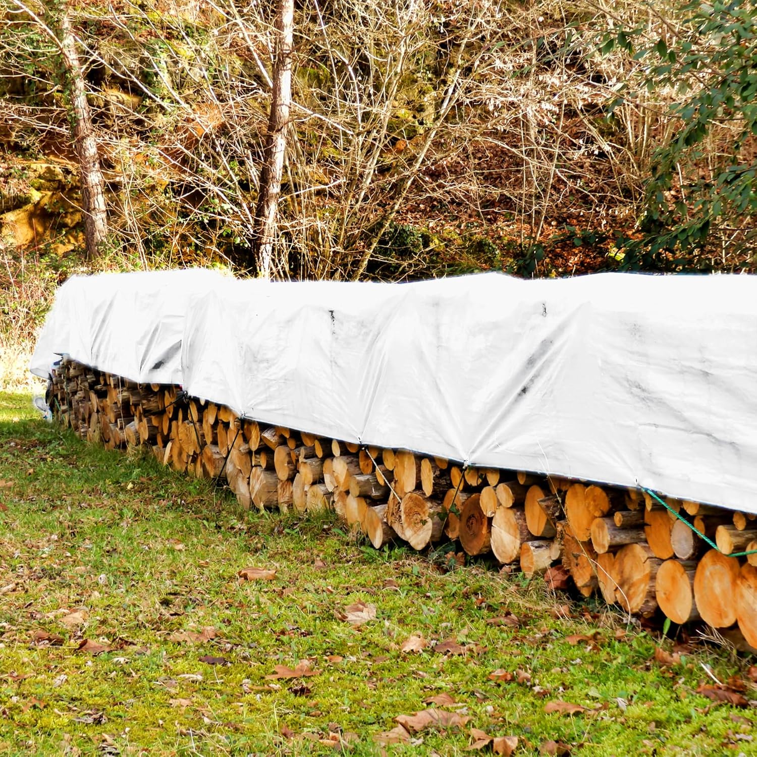 Lona blanca de 6 x 16 pies de 12 mil, extra resistente, toldo reforzado de 3 capas, 6 onzas (aproximadamente 5 pies 6 x 15 pies 6 pulgadas)
