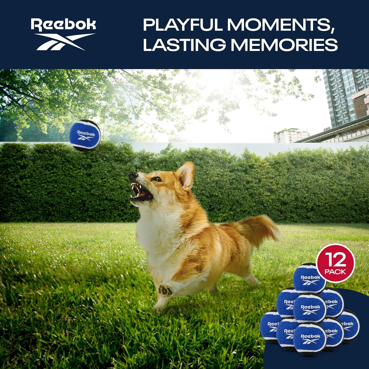 Reebok Pelotas de tenis para perros, paquete de 12 pelotas de tenis para perros para jugar al aire libre, grandes pelotas de tenis para perros para