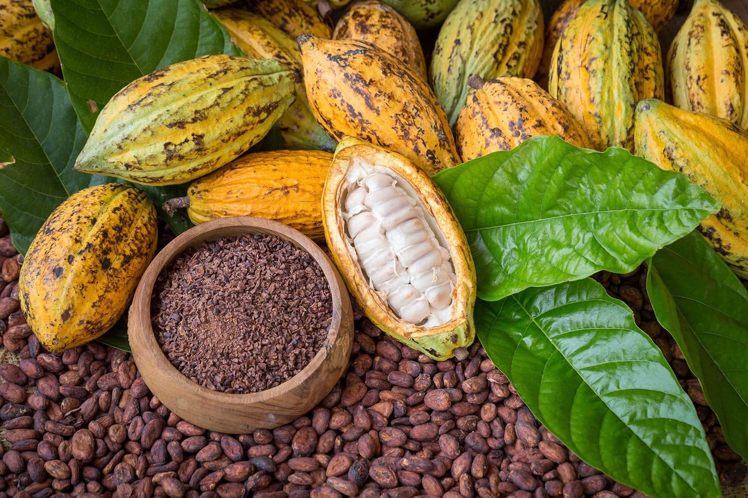 Food to Live Plumas de cacao, 4 libras, crudas, sin azúcar, kosher, veganas, aptas para dieta cetogénica y paleo, hechas de granos de cacao ricos en