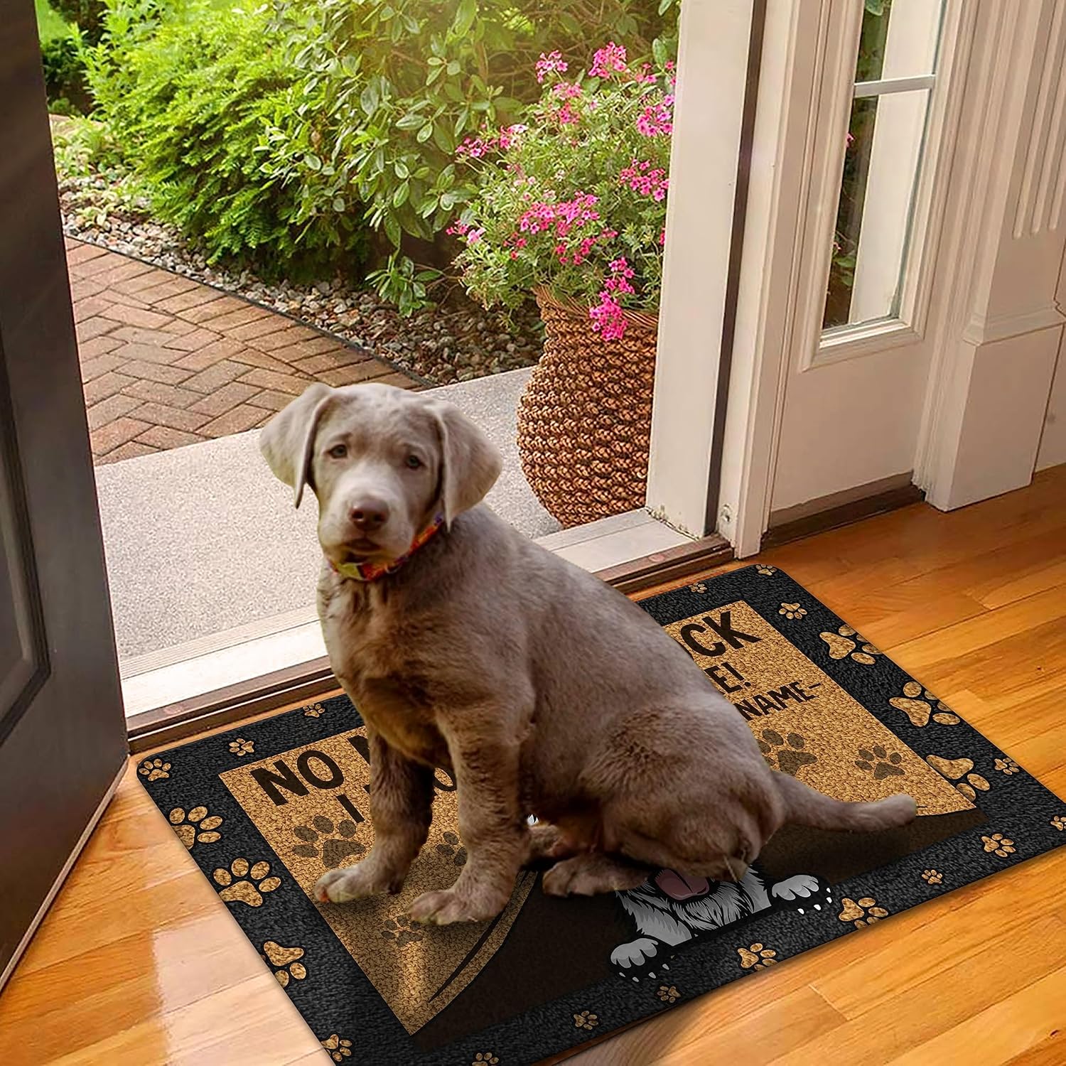 PREZZY Tapete de puerta personalizado con nombre de perro de lobo irlandés, tapete de bienvenida para interiores y exteriores, tapete antideslizante