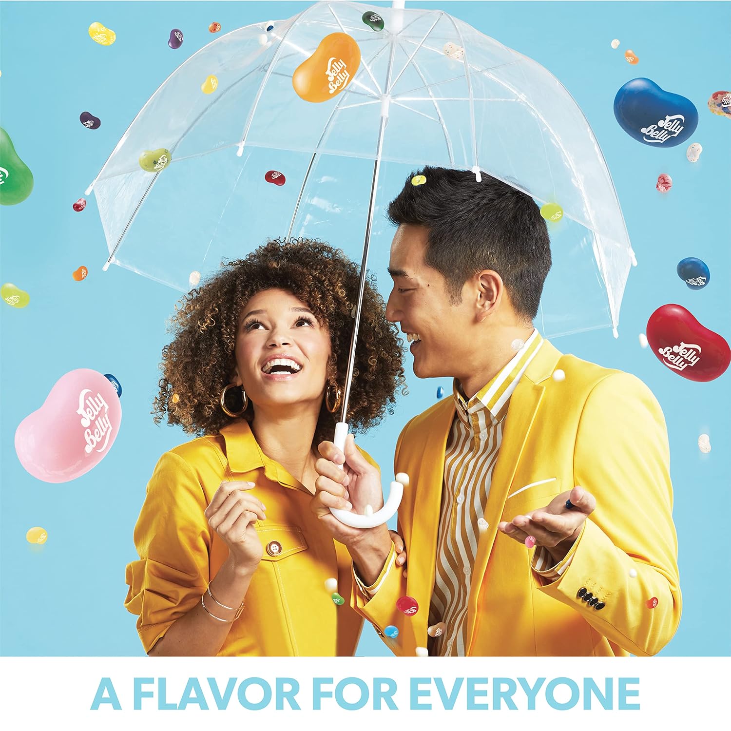 Jelly Belly – Gomitas sabor a vainilla francesa, bolsa resellable de 1 libra (16 onzas), auténticas y oficiales, directamente de la fuente