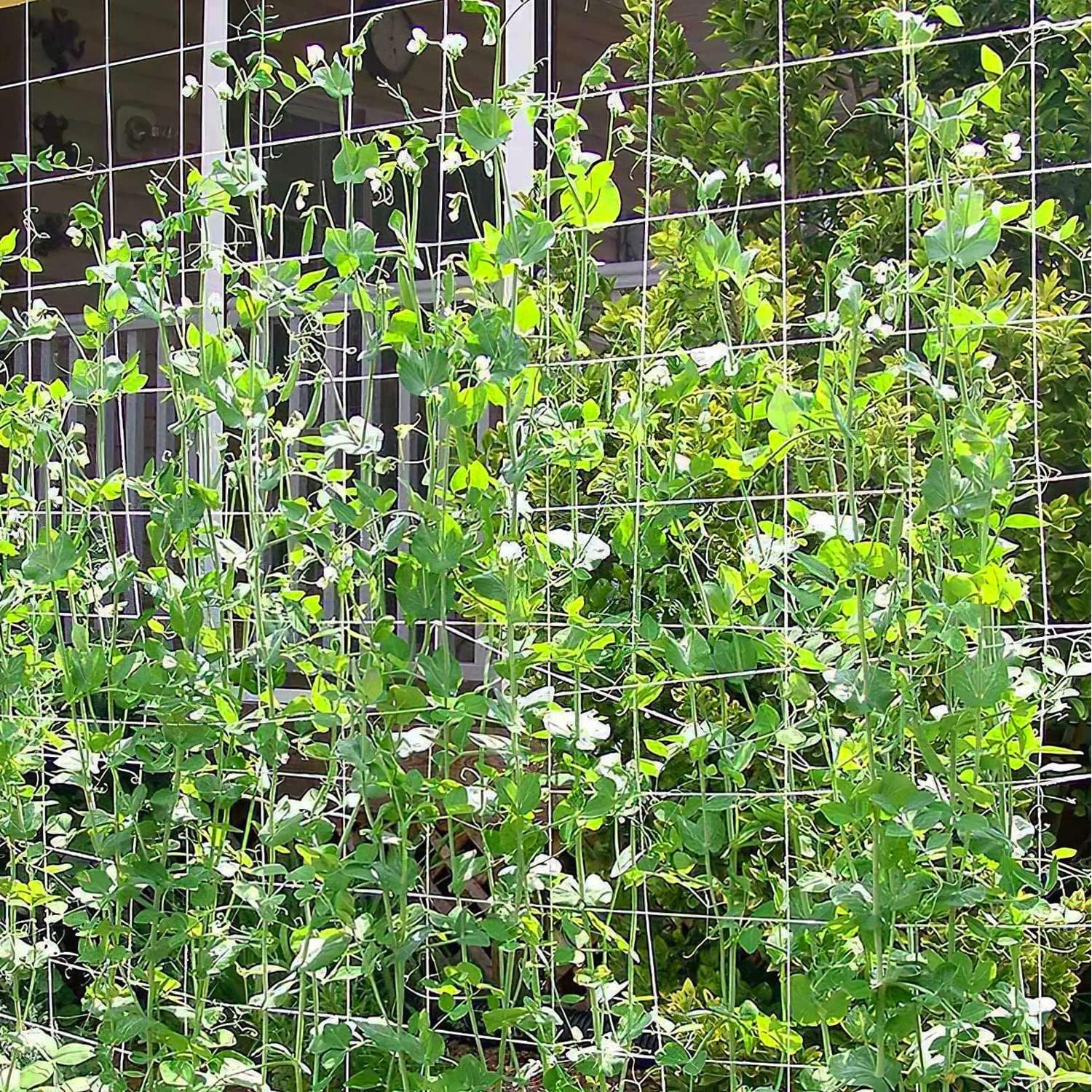Red enrejada de 6.5 x 20 pies para tienda de cultivo de 6 x 6 pulgadas para plantas trepadoras, red de cultivo interior y exterior para frijoles,