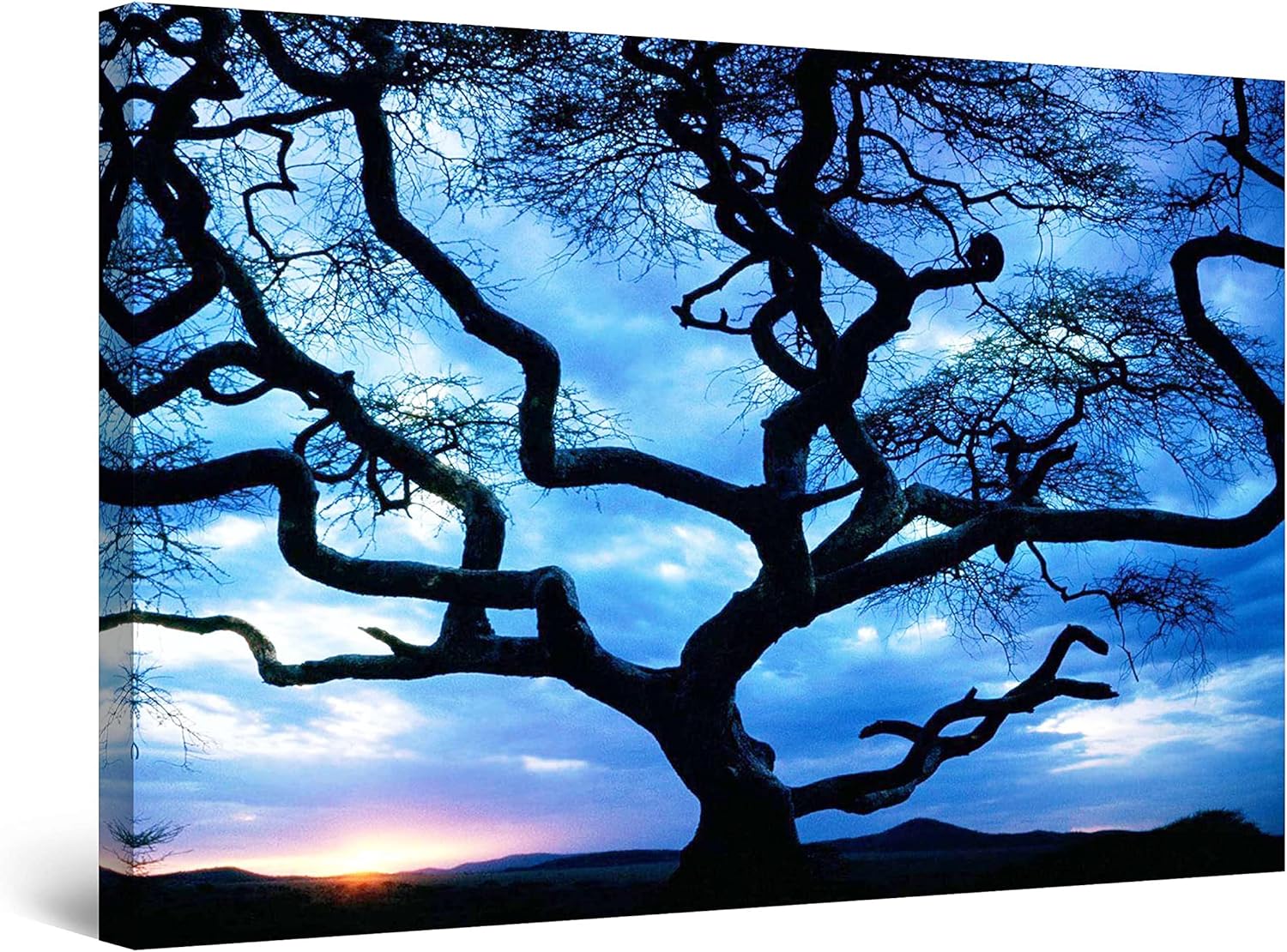 Startonight Lienzo decorativo para pared, increíble puesta de sol detrás del árbol, imagen de paisaje natural de árboles para sala de estar,