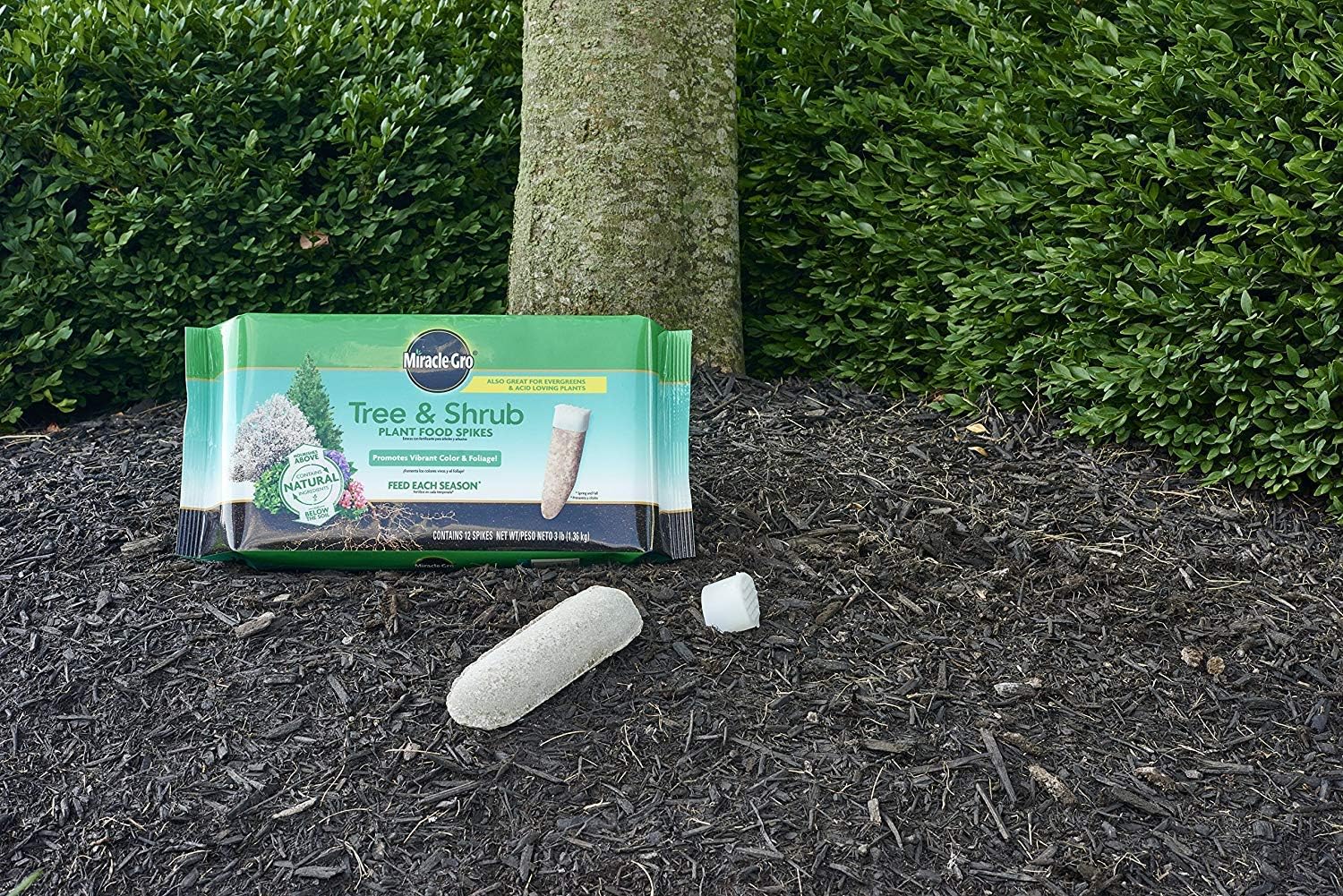 Miracle-Gro – Picos fertilizantes para árboles y arbustos, paquete de 12, paquete de 2