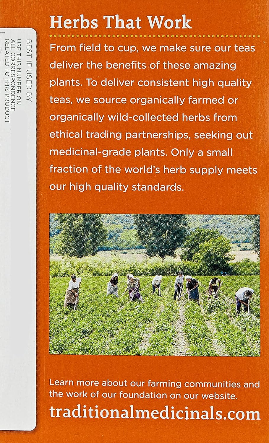 Traditional Medicinals Organic Belly Comfort – Té de hierbas de menta, promueve una digestión saludable (paquete de 3)  16 bolsas de té