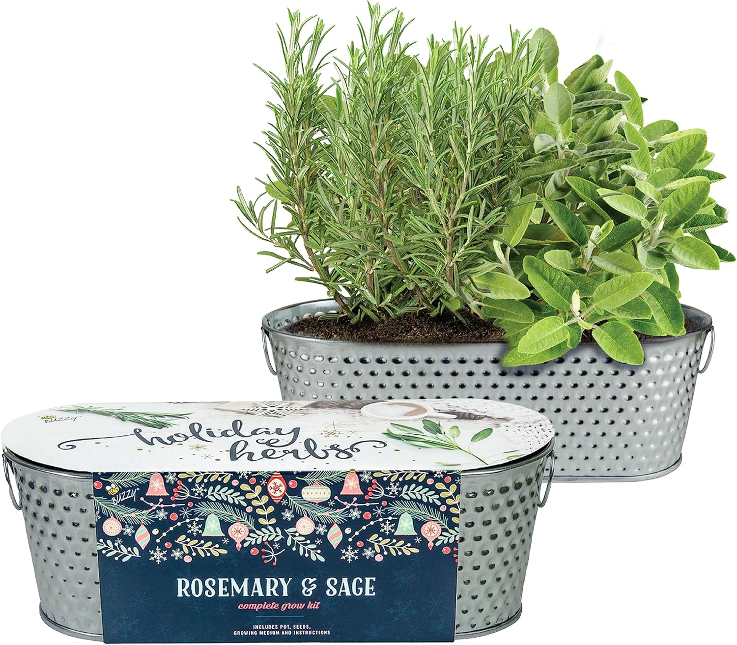 BUZZY Kit de maceta de cultivo para alféizar de ventana de hierbas navideñas, semillas de romero y salvia, los mejores regalos de jardinería,