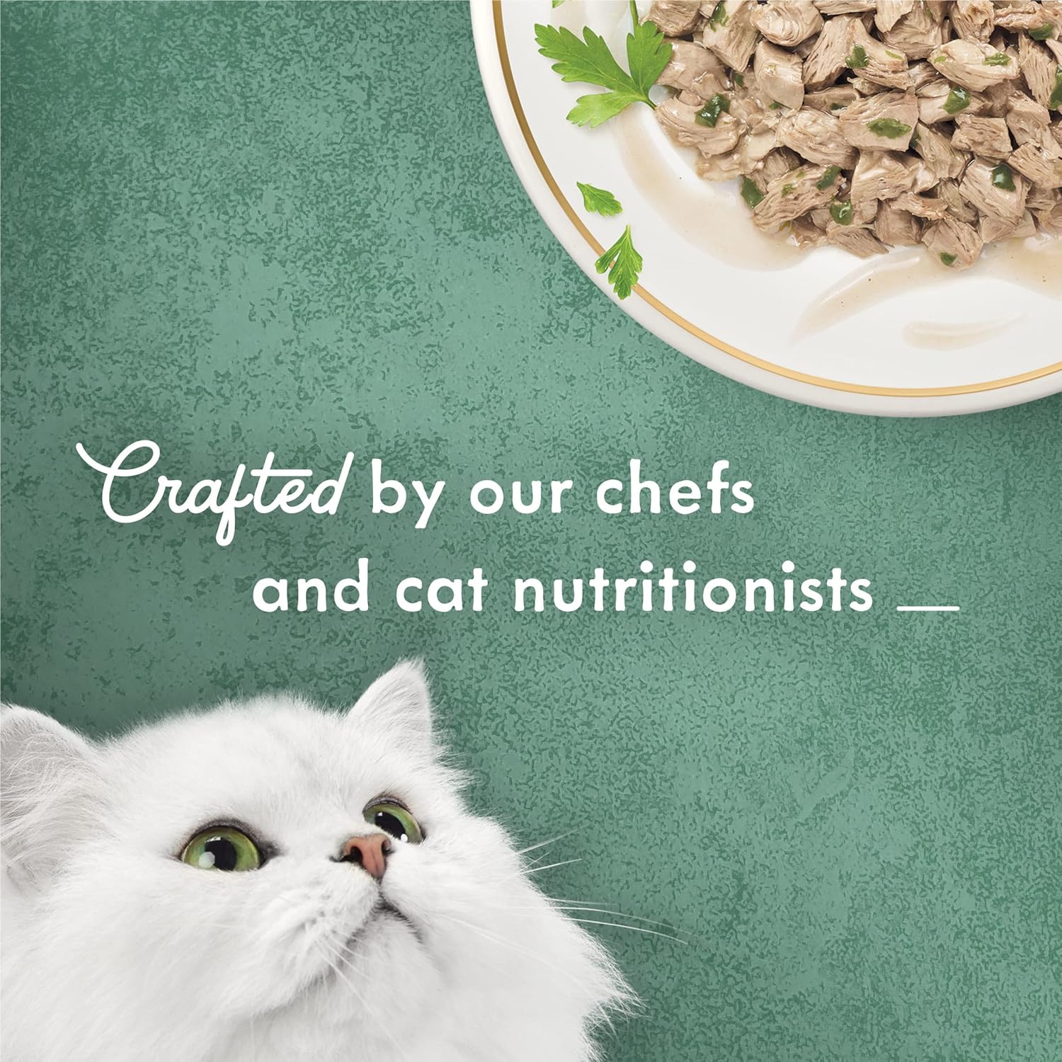 Purina Fancy Feast Medleys alimento húmedo para gatos enlatado para adultos  (24 latas) 3 onzas –