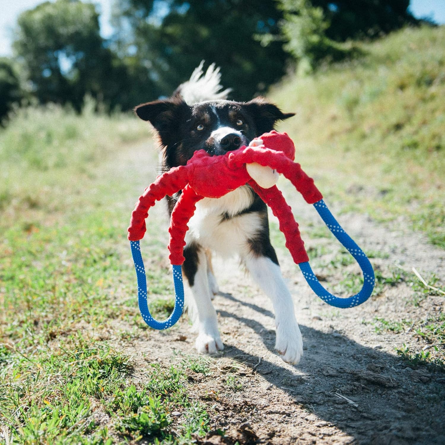 ZippyPaws – RopeTugz – Juguete para perro de mono rojo – Cuerda duradera, juguete masticable chirriante, perfecto para tirar y aflojar, adecuado