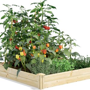 Greenes Fence – Bancal de madera de pino para jardín Greenes Fence – Bancal de madera de pino para jardín