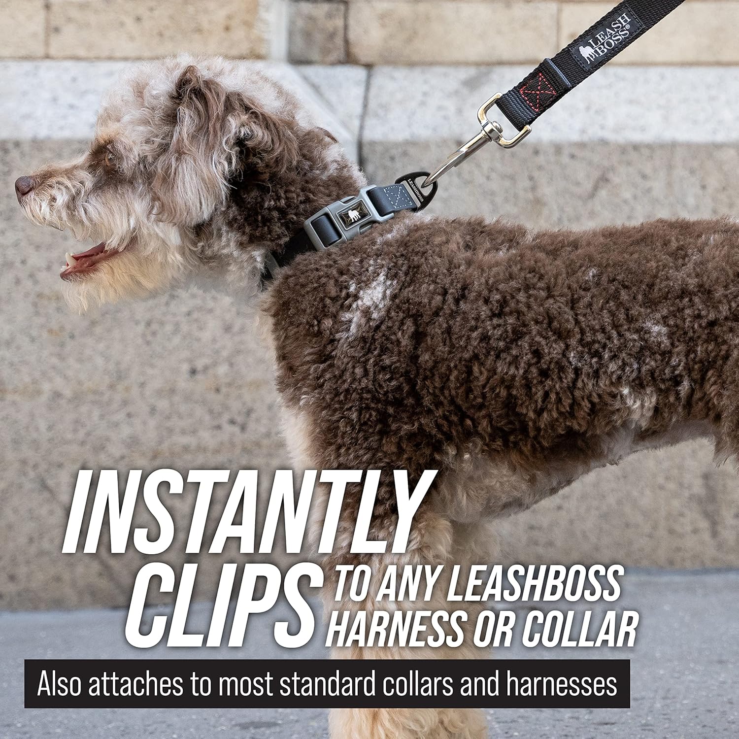 Leashboss – Correa de plomo extra larga para entrenamiento de perros – Correa para perros de fuera de 30 pies