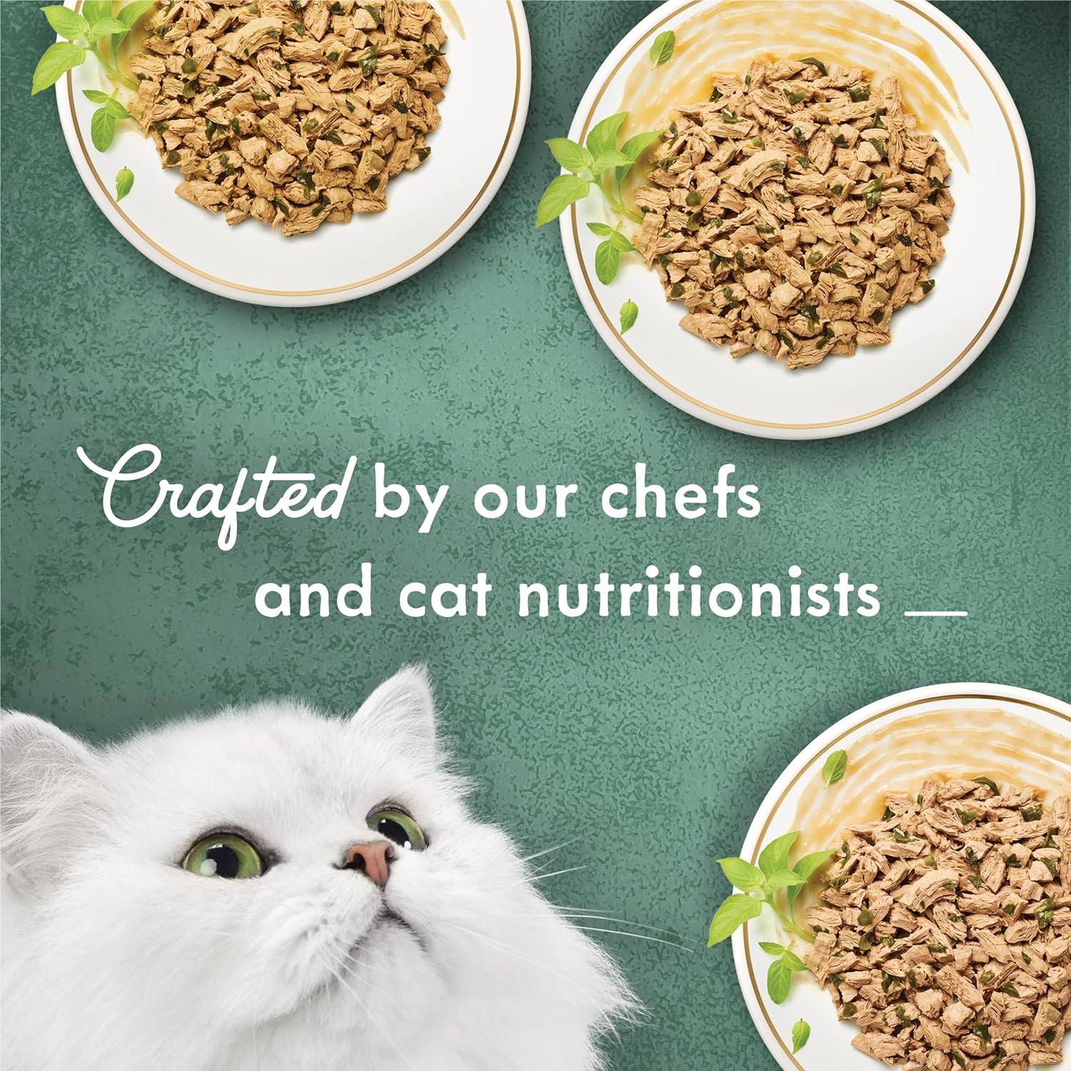 Purina Fancy Feast Medleys – Paquete de alimentos húmedos para gatos, paquete de variedad