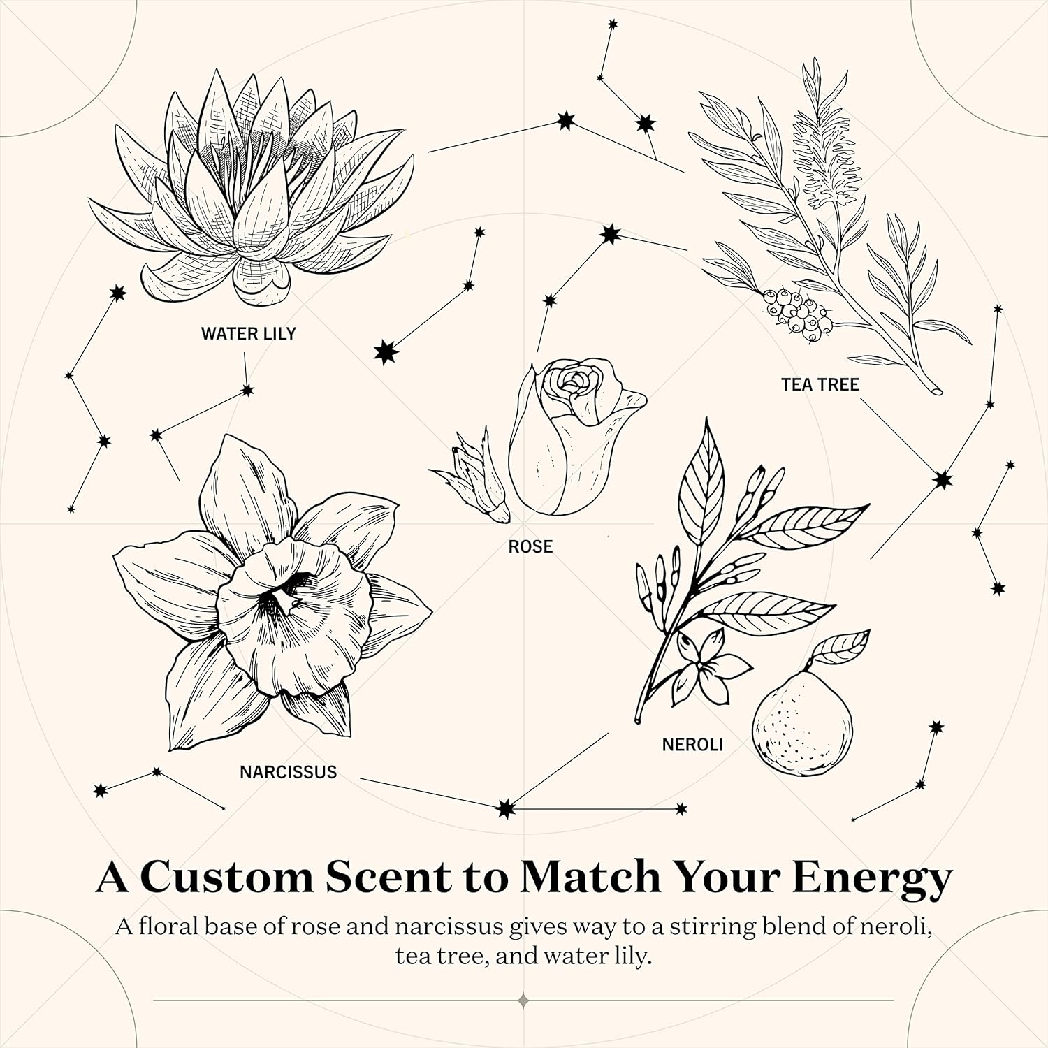 Birthdate Candles, December 14 – Sagittarius Zodiac Scented Candles Birthday Gift – Rose, Neroli & Water Lily Scent – All-Natural Soy & Coconut Wax,