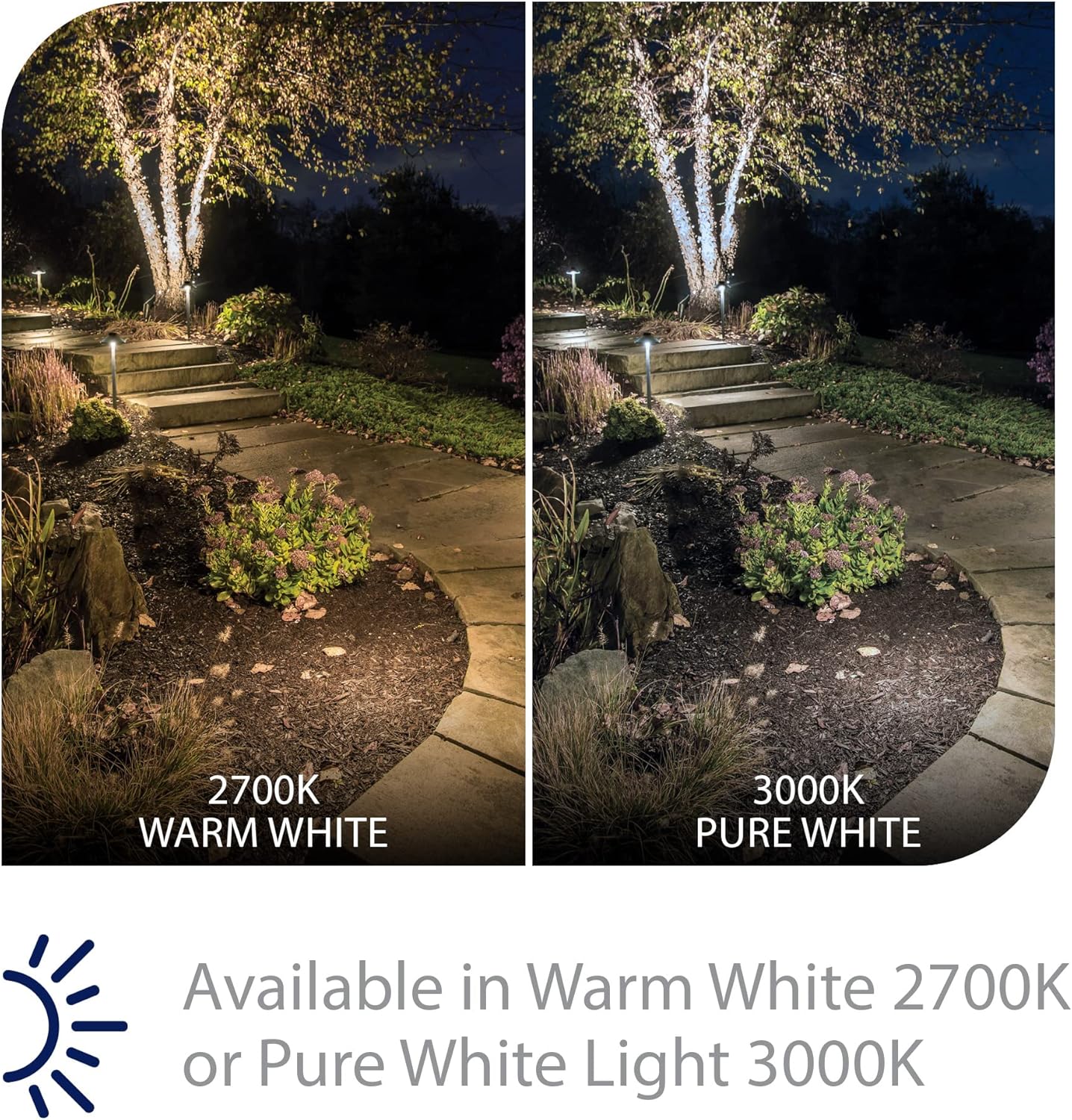 WAC Iluminación de paisaje, Interpath LED de 12 V Cono y Luz de Área 2700K LED cálido incorporado en latón macizo recubierto con bronce