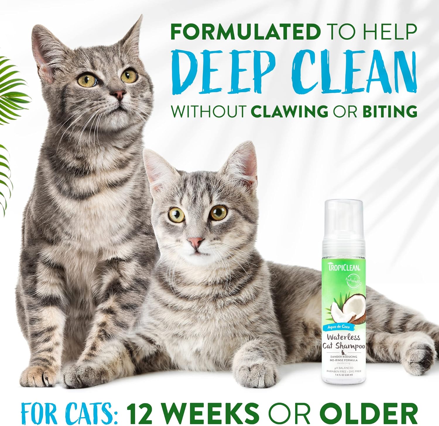 TropiClean Aqua de Coco Champú para gatos sin agua  Caspa de gato y reductor de alérgenos para gatos  Champú natural para gatos seco derivado de