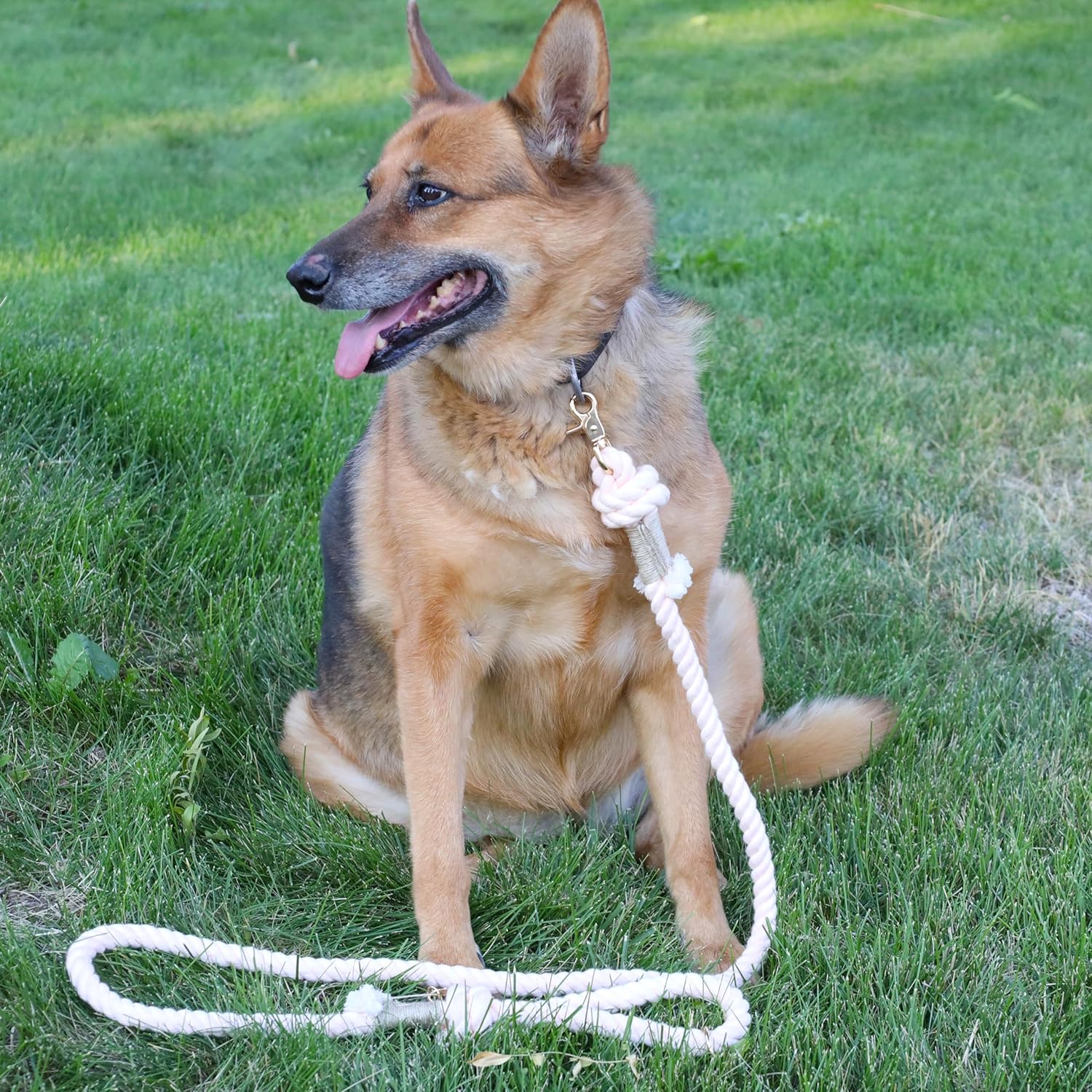 Correa de cuerda de algodón orgánico de alta calidad para perros medianos y grandes, elegante trenzada y duradera, perfecta para razas